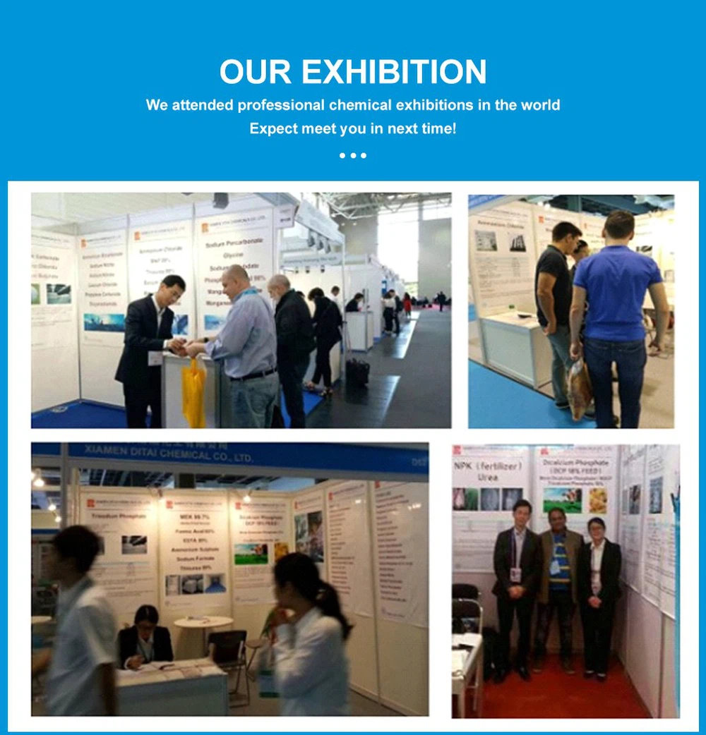 EXHIBITION EXHIBITION